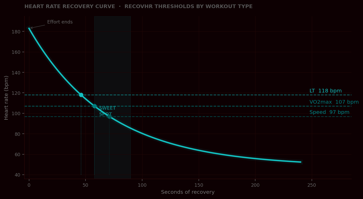 Heart rate recovery curve with RecovHR thresholds